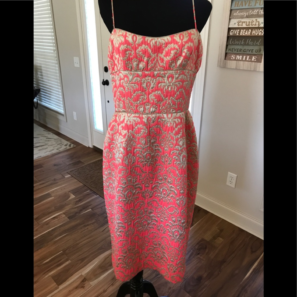 Gorgeous David Meister dress NWOT